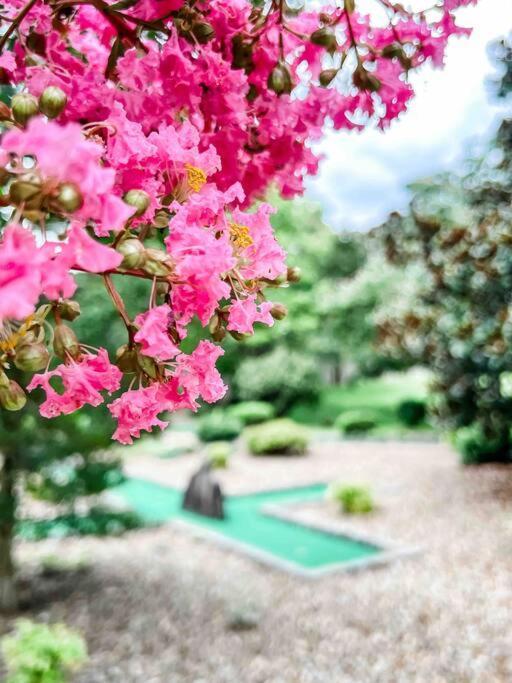 Indoor Heated Pool Hot Tub Cabin เซอเวียร์วีล ภายนอก รูปภาพ